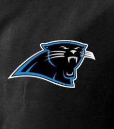 NFL Varsity Jacket