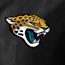 NFL Varsity Jacket